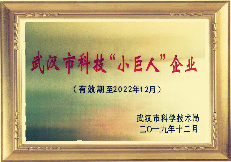 武漢市科技小巨人201912圖片框_副本.jpg